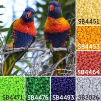 Birds colour inspiration Miyuki seed bead collection - Miyuki 11/0 Seed Beads