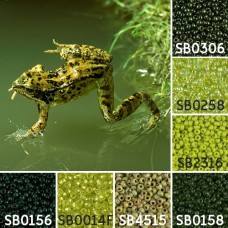 Jumping Frog colour inspiration Miyuki seed bead collection - Miyuki 11/0 Seed B...