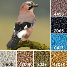Jay Great British Birds Colour Inspiration Miyuki 8/0 Seed Bead Collection