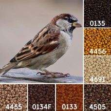 Sparrow Great British Birds Colour Inspiration Miyuki 8/0 Seed Bead Collection
