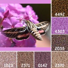 White Lined Sphinx Moth Colour Inspiration Miyuki 11/0 Seed Bead Collection