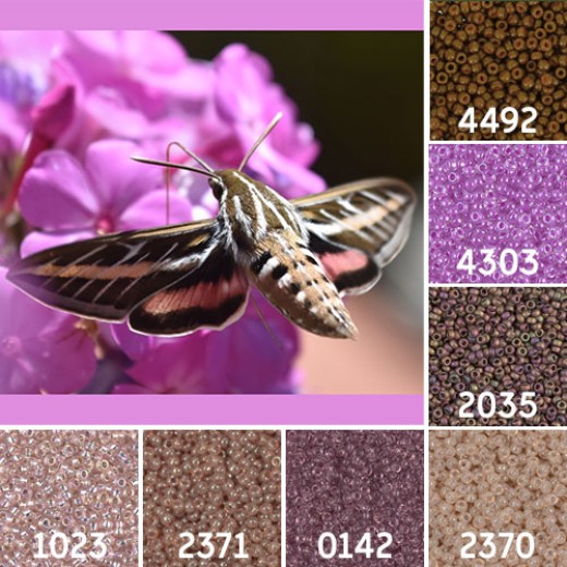 White Lined Sphinx Moth Colour Inspiration Miyuki 11/0 Seed Bead Collection