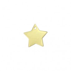 Gold Plated Pewter Star, 1"