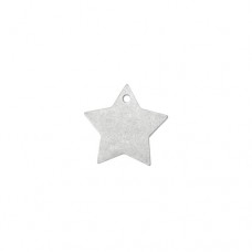 Matte Silver Plated Star, 1"