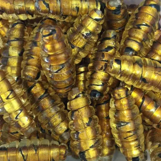 Topaz Striped Oval Tube Glass Beads, 24 x 4mm Topaz Striped Oval Tube Glass Beads, 24 x 4mm