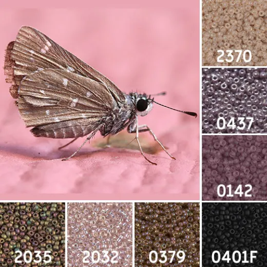 Brown Moth Colour Inspiration Miyuki 15/0 Seed Bead Collection Brown Moth Colour Inspiration Miyuki 15/0 Seed Bead Collection