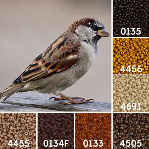 Sparrow Great British Birds Colour Inspiration Miyuki 8/0 Seed Bead Collection Sparrow Great British Birds Colour Inspiration Miyuki 8/0 Seed Bead Collection