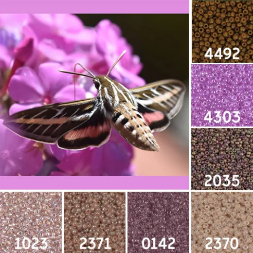 White Lined Sphinx Moth Colour Inspiration Miyuki 11/0 Seed Bead Collection White Lined Sphinx Moth Colour Inspiration Miyuki 11/0 Seed Bead Collection
