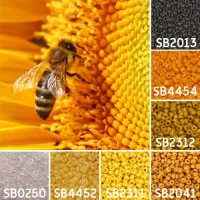 Buzzy Bee colour inspiration Miyuki seed bead collection - Miyuki 11/0 Seed Beads Buzzy Bee colour inspiration Miyuki seed bead collection - Miyuki 11/0 Seed Beads