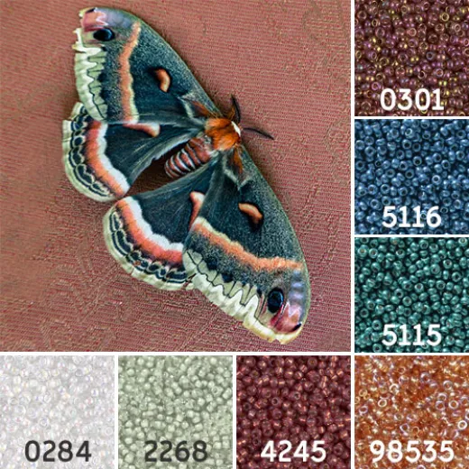 Cecropia Moth Colour Inspiration Miyuki 11/0 Seed Bead Collection Cecropia Moth Colour Inspiration Miyuki 11/0 Seed Bead Collection