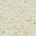 Matted Opaque Cream Miyuki 2.2mm Spacer Beads, colour 2021, approx 4.9g Matted Opaque Cream Miyuki 2.2mm Spacer Beads, colour 2021, approx 4.9g