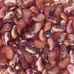 Left Crystal/Copper Etched 2 Hole Zoliduo Bead, pack of 20pcs Left Crystal/Copper Etched 2 Hole Zoliduo Bead, pack of 20pcs