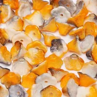 Chalk White Funky Copper 5x7mm Flower Cup Beads, approx. 50