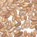 Chalk Celsian Matted Rizo Beads, Approx 20g Chalk Celsian Matted Rizo Beads, Approx 20g