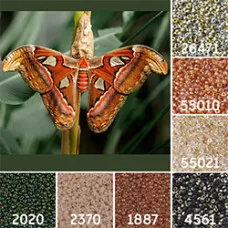 Miyuki Colour Inspiration Beads Palettes Moths And Beetles
