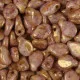 Pip Beads
