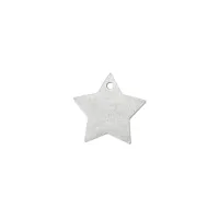 Matte Silver Plated Star, 1"