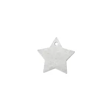 Matte Silver Plated Star, 1"