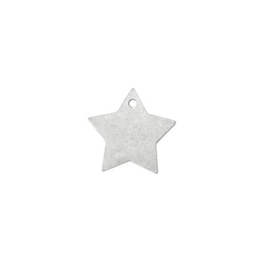 Matte Silver Plated Star, 1" Matte Silver Plated Star, 1"